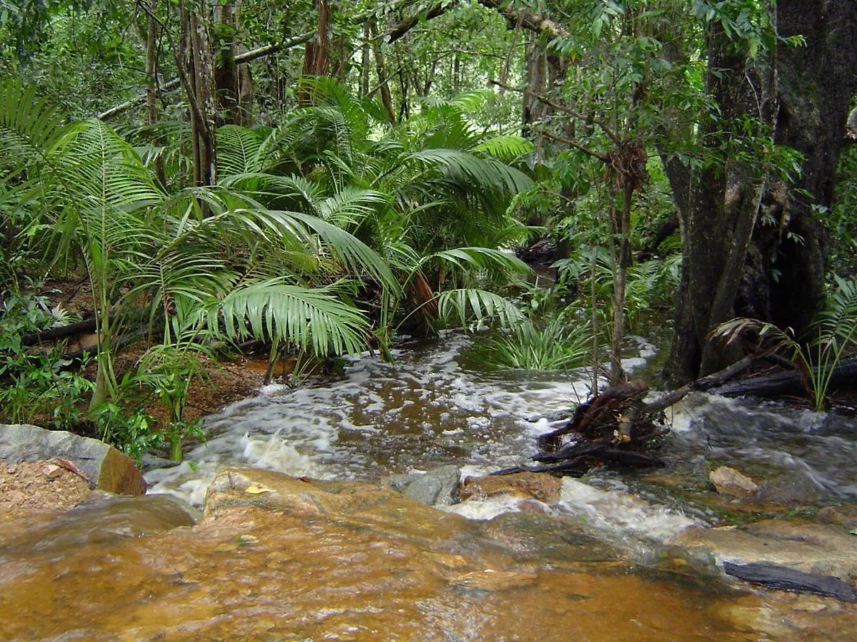 Holiday home Forest Lodge: Little Villa Agnes Water Australia